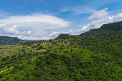 Terreno de 900 Ha en Venta, Zapopan, Jalisco