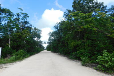 RESIDENTIAL OR MULTIFAMILY LOT 9 IN REGION 10, THE NEW DEVELOPMENT ZONE IN TULUM